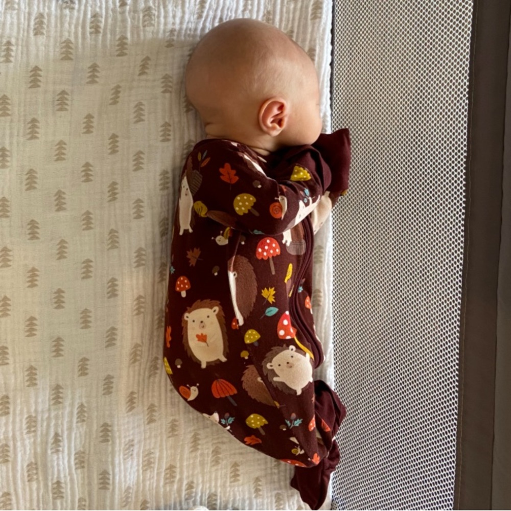 Little Sleepies LIMITED EDITION Happy Hedgehog Zippie